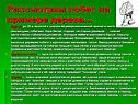 Рассмотрим побег на примере дерева