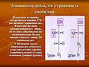 Аминокислоты, их строение и свойства