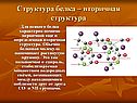 Структура белка – вторичная структура