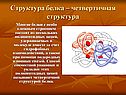 Структура белка – четвертичная структура