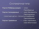 Систематика типа