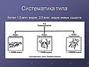Систематика типа