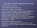 Общая характеристика типа