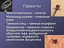 Паразиты