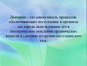 Совокупность процессов