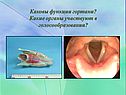 Функции гортани