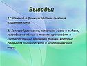 Строение и функции органов дыхания