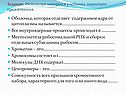 Оболочка, которая отделяет содержимое ядра от цитоплазмы