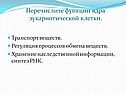 Перечислите функции ядра эукариотической клетки