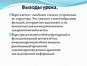 Выводы урока