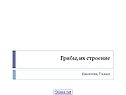Грибы, их строение
