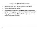 Вопросы для повторения