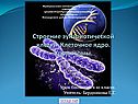 Строение эукариотической клетки
