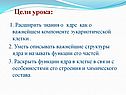 Знания о ядре