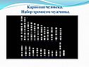 Кариотип человека