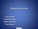Строение и функции нервной системы