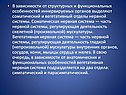 Отделы нервной системы