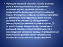 Функции нервной системы