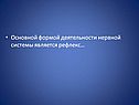 Рефлекс