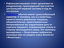Ответ организма на раздражение