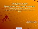 Кровеносная система человека