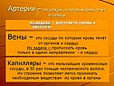 Артерии – это сосуды, по которым кровь течёт от сердца