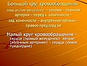 Большой круг кровообращения