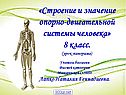 Строение опорно-двигательной системы