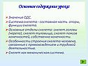 Основное содержание урока
