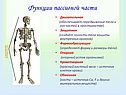 Функции пассивной части