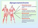 Функции активной части