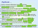Скелет человека образован около 200 костями