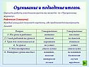 Оценивание и подведение итогов