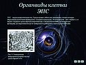 ЭПС