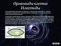 Пластиды