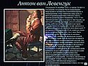 Строение органоидов