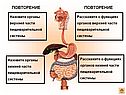 Повторение