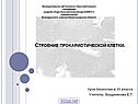 Строение прокариотической клетки