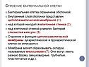 Строение бактериальной клетки