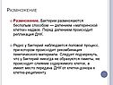 Размножение