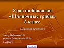 Шляпочные грибы