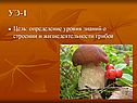 Определение уровня знаний