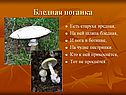 Старуха вредная
