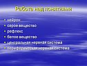 Работа над понятиями