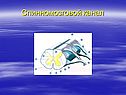 Спинномозговой канал