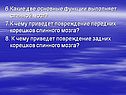 Какие две основные функции выполняет спинной мозг