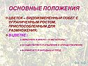 Цветок