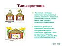Пестичные и тычиночные цветки