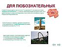 Для любознательных