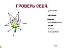 Проверь себя